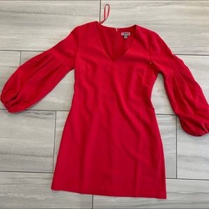 NWT Beautiful elegant Chelsea28 dress.